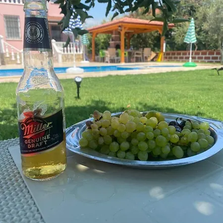 Ergen